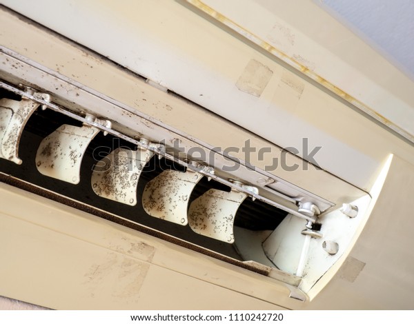 close up\
mold in air conditioner system. Danger and the cause of pneumonia\
and respiratory diseases in house or office. air condition must\
clean evern month for\
health.