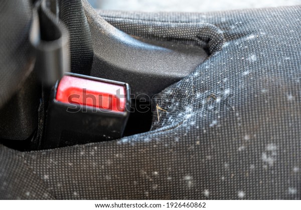Close up of mold\
growing on a car seat around the seat belt anchor point after not\
being used for several\
months