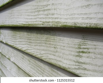 Close Up Of Mold And Mildew On House Siding 