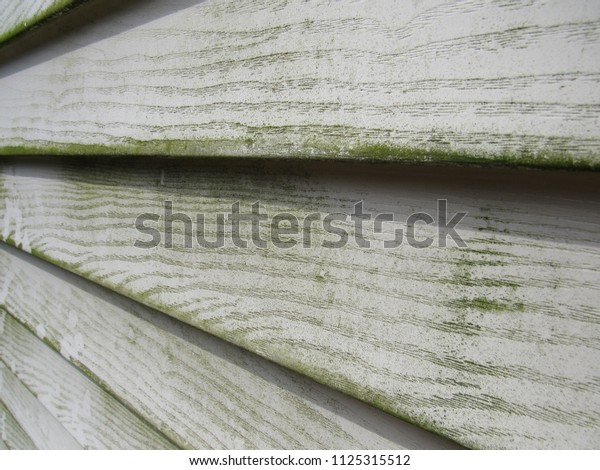 Close Mold Mildew On House Siding Stock Photo (Edit Now) 1125315512