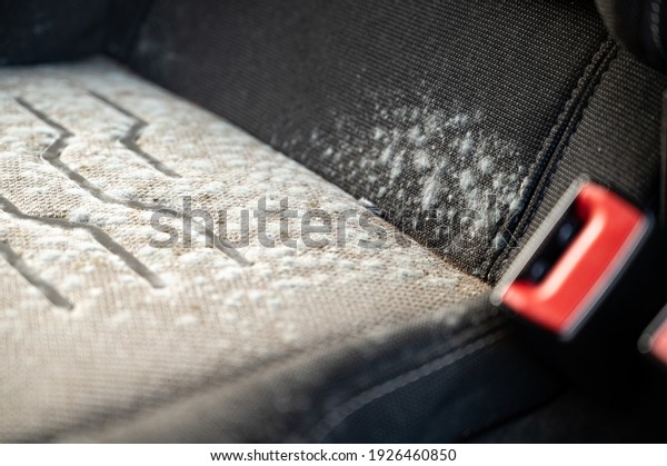 Close up of mold on a car seat that has been laid\
up for several months