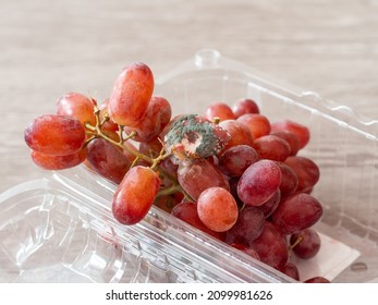 Close Up Of Moldy Spoiled Grapes Fruit, Pink Rose Fruits