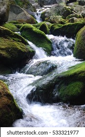 Close Up of Moss Covered Rocks with Spring Creek Flowing Over Them