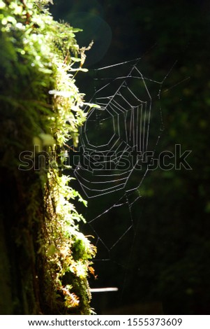 Similar – Irish river Natur