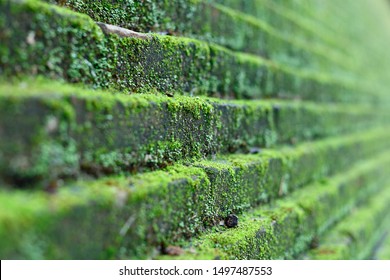 Close Up Moss Stone Brick Wall, Eco-friendly Structure In Old Asian Temple