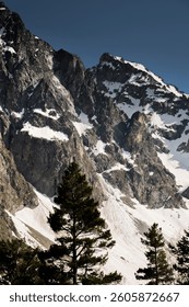 Close up of mountain range in snow under sunlight with pine trees in foreground, detailed photo of mountains