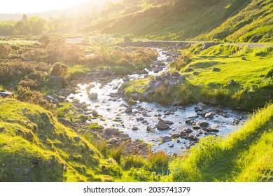 Close up mountain river in a green valley in sunset light. Wild nature. Nature beauty