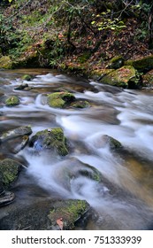 up close of mountain stream 