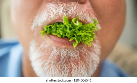 Close Up Mouth Senior Man Eating A Salad In House, Old Elderly Male Health Care Eat Vegetables And Useful Foods.