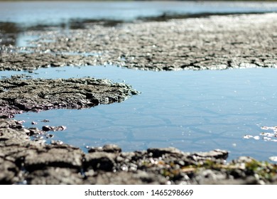 Close Up Of Muddy Pond Water With Clay Formations On River Bed