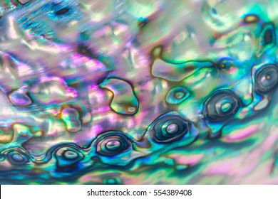 Close up multicolor background of abalone shell, haliotis