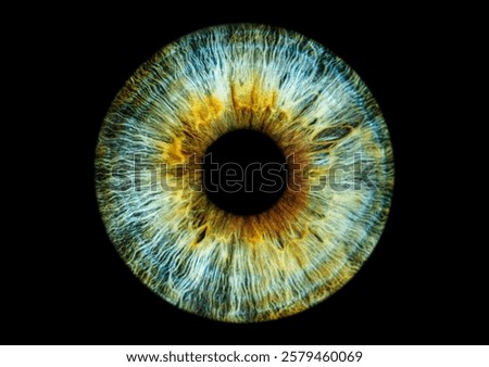 close up of my eyeball 