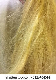 Ash Blonde Hair Silver Platinum Blonde Hair Images Stock Photos