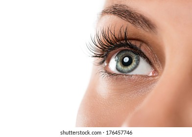 Close Up Of Natural Female Eye Isolated On White Background