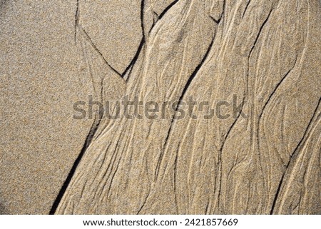 Similar – Image, Stock Photo Flasche in Falten Beverage