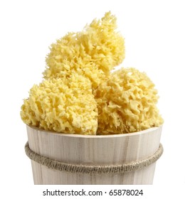  Close up natural sponges texture