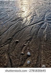 Close up of natural texture patterns on wet sand beach at sunset.