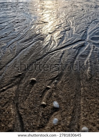 Close up of natural texture patterns on wet sand beach at sunset.