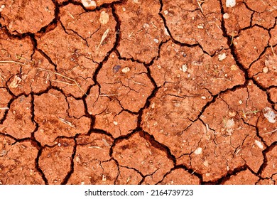 Close up nature background of cracked dry lands. Natural texture of soil with cracks. Broken clay surface of barren dryland wasteland close-up. Terrain with arid climate. Lifeless desert on earth