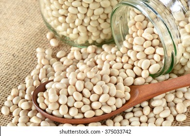 Close Up Navy Bean On Wooden Spoon