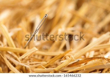 close up of a needle in haystack