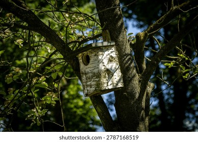 A close up of a nesting box attached to a tree, on a sunny spring day