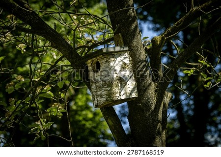 A close up of a nesting box attached to a tree, on a sunny spring day
