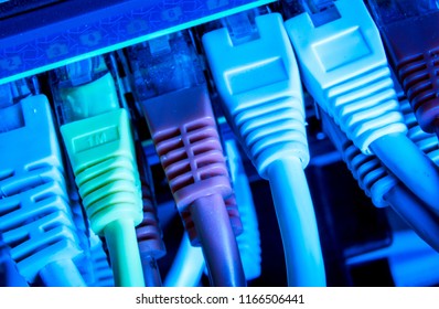 close up of network cables connected to switch