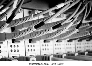 Close Up Of Network Cables Connected To Switch