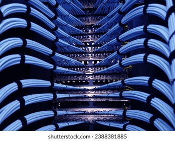 close up of network cables in a data center.                             