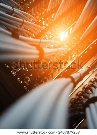 close up of network cables in a data center