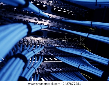 close up of network cables in a data center