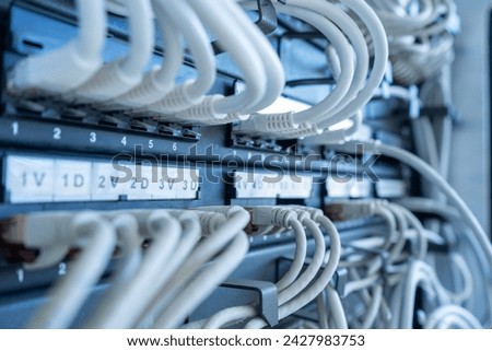 Close up of networks server rack with internet patch cord cables connected to patch panel. IT concept.