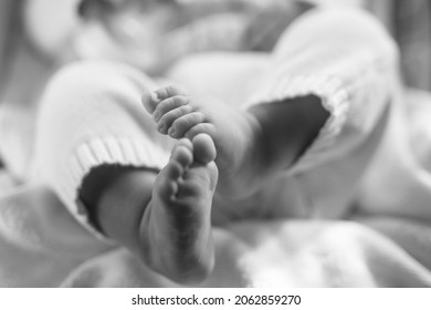 Close Up Of Newborn Baby Feet. Cute Little Baby Lying On Bed. Child Relaxing In A Swing. Adorable Newborn Baby In Bodysuit. Black And White Photo.