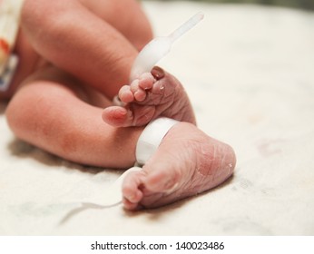 Close up of newborn baby feet with a hospital tag in the nursery