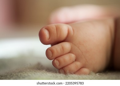 Close Up Of Newborn Baby Leg. Beautiful Newborn Baby Legs On A Soft Blanket