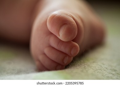 Close Up Of Newborn Baby Leg. Beautiful Newborn Baby Legs On A Soft Blanket