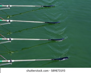 Close Up Oars Of Quadruple Skulls Rowing Team Race