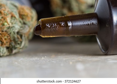 close up of an oil made from the essential oil of the cannabis hemp plant with buds next and around the syringe