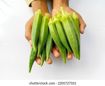 Close okra vegetable isolated on white background. Okra on white background. Ladyfingers vegetable on white background. Vegetable background.