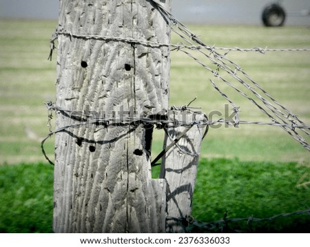 Close up of Old Barbwire Fence 