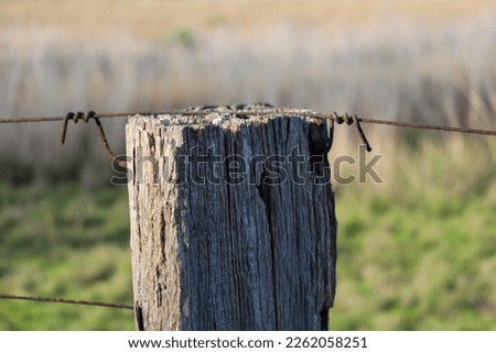 close up of old fence post and barbed wire in field