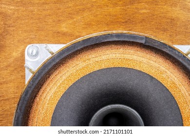 Close Up Of Old Full Range Driver In Vintage Speaker