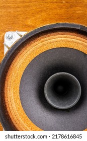 Close Up Of Old Full Range Driver In Vintage Speaker