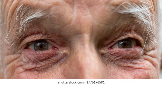 Close Up Of Old Man Eyes With Wrinkled Skin. Happy Expression From Look