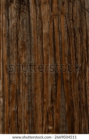Close up of old tree trunk with brown bark texture pattern