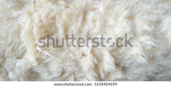 Close up old white color synthetic fur, white\
wool texture background, cotton wool, white fleece, light natural\
sheep wool, fur of  paint roller brush, top view skin and soft wool\
texture background.