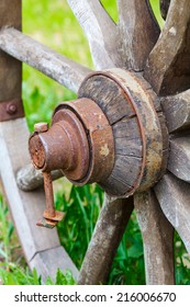 Close Up Old Wooden Cartwheel And Green Grass