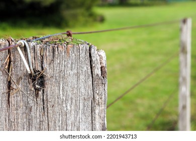 Close Up Of Old Wooden Fence Post In Field