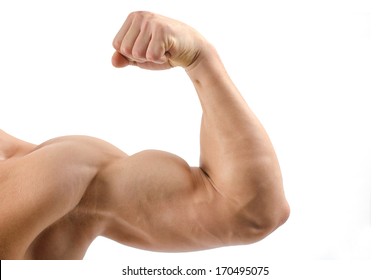 Close up on a bodybuilder biceps,shoulder,arm isolated on white background